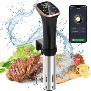 BLITZHOME Sous Vide Cooker